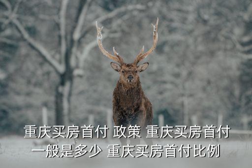  重慶買房首付 政策 重慶買房首付一般是多少 重慶買房首付比例
