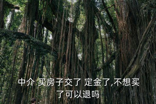 在中介買(mǎi)房定金怎么退,買(mǎi)房被中介忽悠交了定金如何退