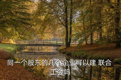 聯(lián)合工會,新就業(yè)形態(tài)聯(lián)合工會