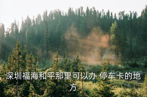 深圳福海和平那里可以辦 停車卡的地方