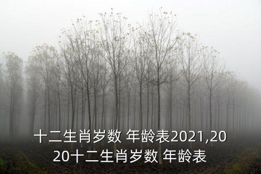 十二生肖歲數(shù) 年齡表2021,2020十二生肖歲數(shù) 年齡表