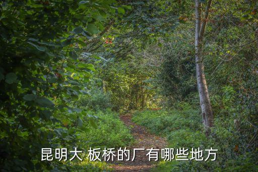 大板橋街道,云南省昆明市官渡區(qū)大板橋街道