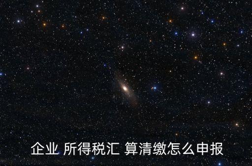  企業(yè) 所得稅匯 算清繳怎么申報