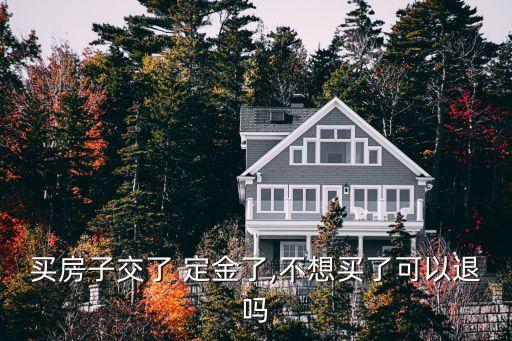 定金雙倍返還含已交定金嗎,定金交中介了可以要求雙倍返還嗎