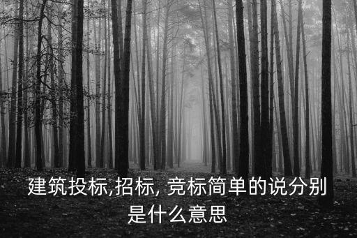 競(jìng)標(biāo)是什么意思,個(gè)人存款競(jìng)標(biāo)是什么意思