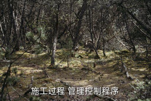 施工過程 管理控制程序