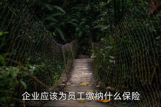 企業(yè)保險(xiǎn)