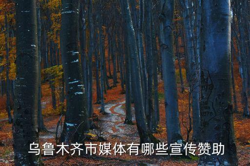 烏魯木齊電視臺(tái)