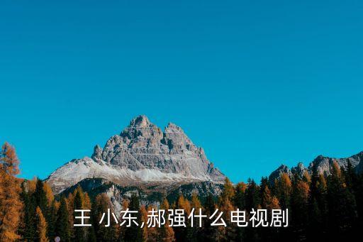 王小東