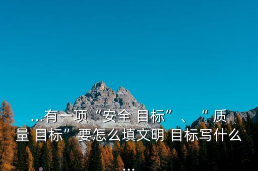 ...有一項“安全 目標”、“ 質量 目標”要怎么填文明 目標寫什么...