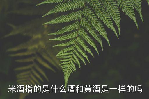  米酒指的是什么酒和黃酒是一樣的嗎