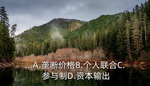 參與制