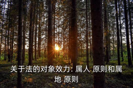 屬人原則,刑事案件屬人原則