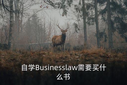 國際商法英文版第二版張學(xué)森