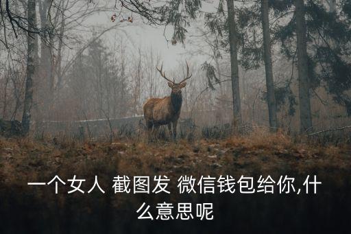 一個(gè)女人 截圖發(fā) 微信錢包給你,什么意思呢