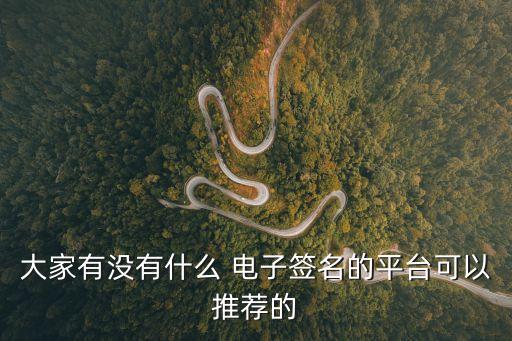 大家有沒有什么 電子簽名的平臺可以推薦的