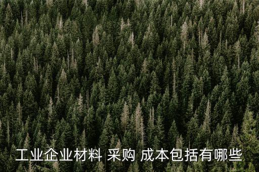 工業(yè)企業(yè)材料 采購 成本包括有哪些