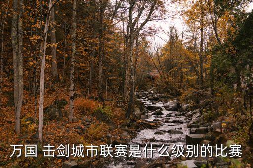 萬國 擊劍城市聯(lián)賽是什么級(jí)別的比賽