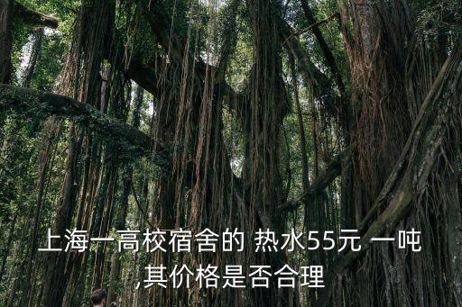 上海一高校宿舍的 熱水55元 一噸,其價格是否合理