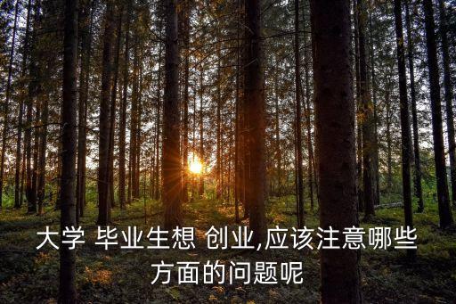 大學(xué) 畢業(yè)生想 創(chuàng)業(yè),應(yīng)該注意哪些方面的問(wèn)題呢