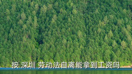 按 深圳 勞動(dòng)法自離能拿到工資嗎