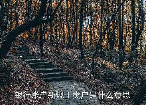 銀行賬戶新規(guī)Ⅰ類戶是什么意思