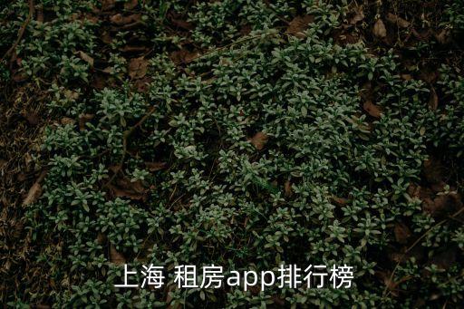  上海 租房app排行榜