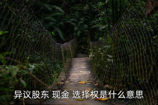 現(xiàn)金選擇權(quán),魯西化工 現(xiàn)金選擇權(quán)