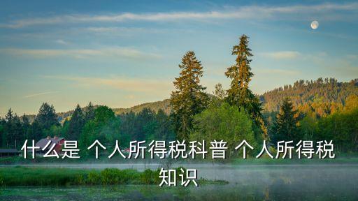 什么是 個人所得稅科普 個人所得稅知識