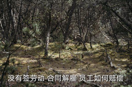 沒有簽勞動 合同解雇 員工如何賠償