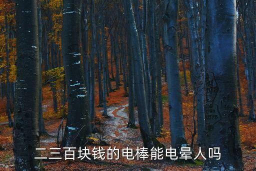 二三百塊錢的電棒能電暈人嗎