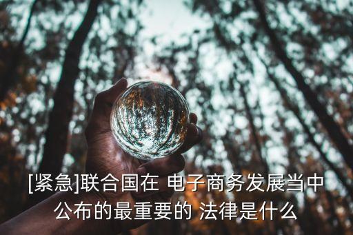 [緊急]聯(lián)合國(guó)在 電子商務(wù)發(fā)展當(dāng)中公布的最重要的 法律是什么