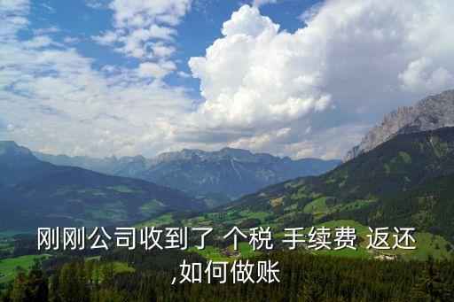 個稅手續(xù)費(fèi)返還是否繳納增值稅,個稅返還手續(xù)費(fèi)需要繳納什么稅?