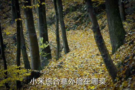 小米保險