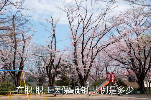 在職 職工醫(yī)保 報(bào)銷 比例是多少