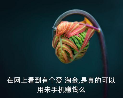 愛淘金