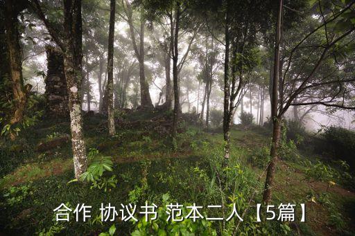 電影投資合作協(xié)議合同范本,建筑工程投資合作協(xié)議合同范本