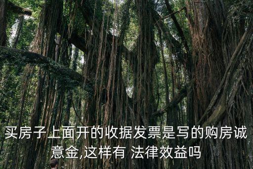 買(mǎi)房子上面開(kāi)的收據(jù)發(fā)票是寫(xiě)的購(gòu)房誠(chéng)意金,這樣有 法律效益嗎