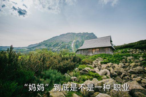 “媽媽”到底是不是一種 職業(yè)