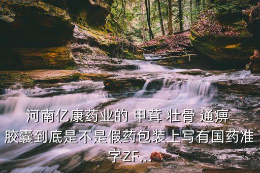 甲茸壯骨通痹膠囊