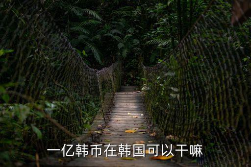 25萬韓元,1225萬韓元