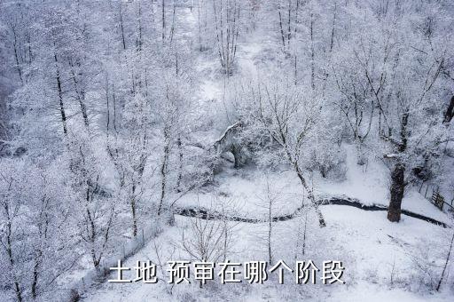 建設(shè)項(xiàng)目用地預(yù)審,占用永久基本農(nóng)田重大建設(shè)項(xiàng)目用地預(yù)審