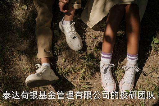 泰達(dá)荷銀基金管理有限公司的投研團(tuán)隊(duì)