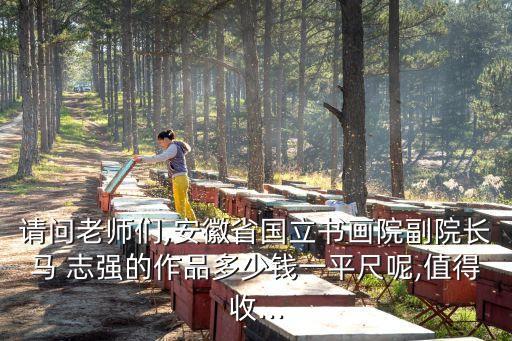 請(qǐng)問(wèn)老師們,安徽省國(guó)立書(shū)畫(huà)院副院長(zhǎng)馬 志強(qiáng)的作品多少錢(qián)一平尺呢,值得收...