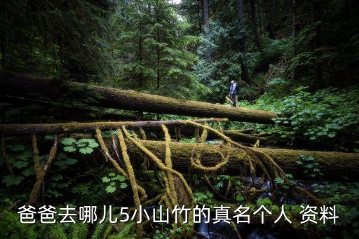 李鑫個(gè)人資料,清華大學(xué)李鑫個(gè)人資料