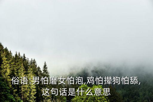 女人舔男人的雞,男人是雞女人是羊好不好