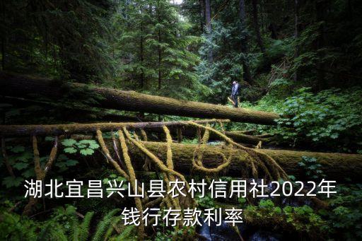 湖北宜昌興山縣農(nóng)村信用社2022年 錢行存款利率