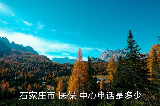 石家莊醫(yī)保中心