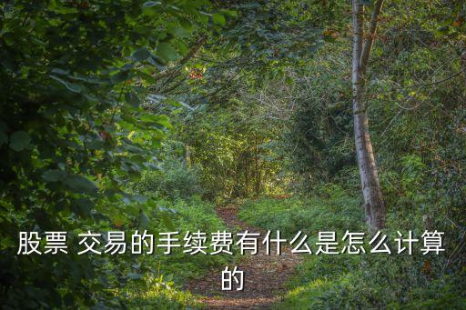 股票 交易的手續(xù)費有什么是怎么計算的