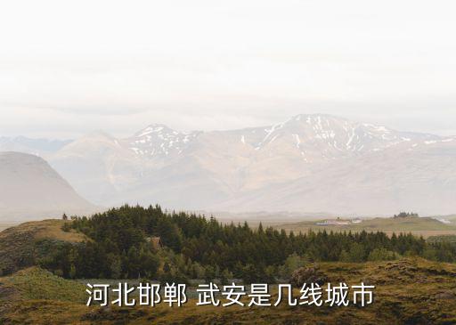 河北武安市